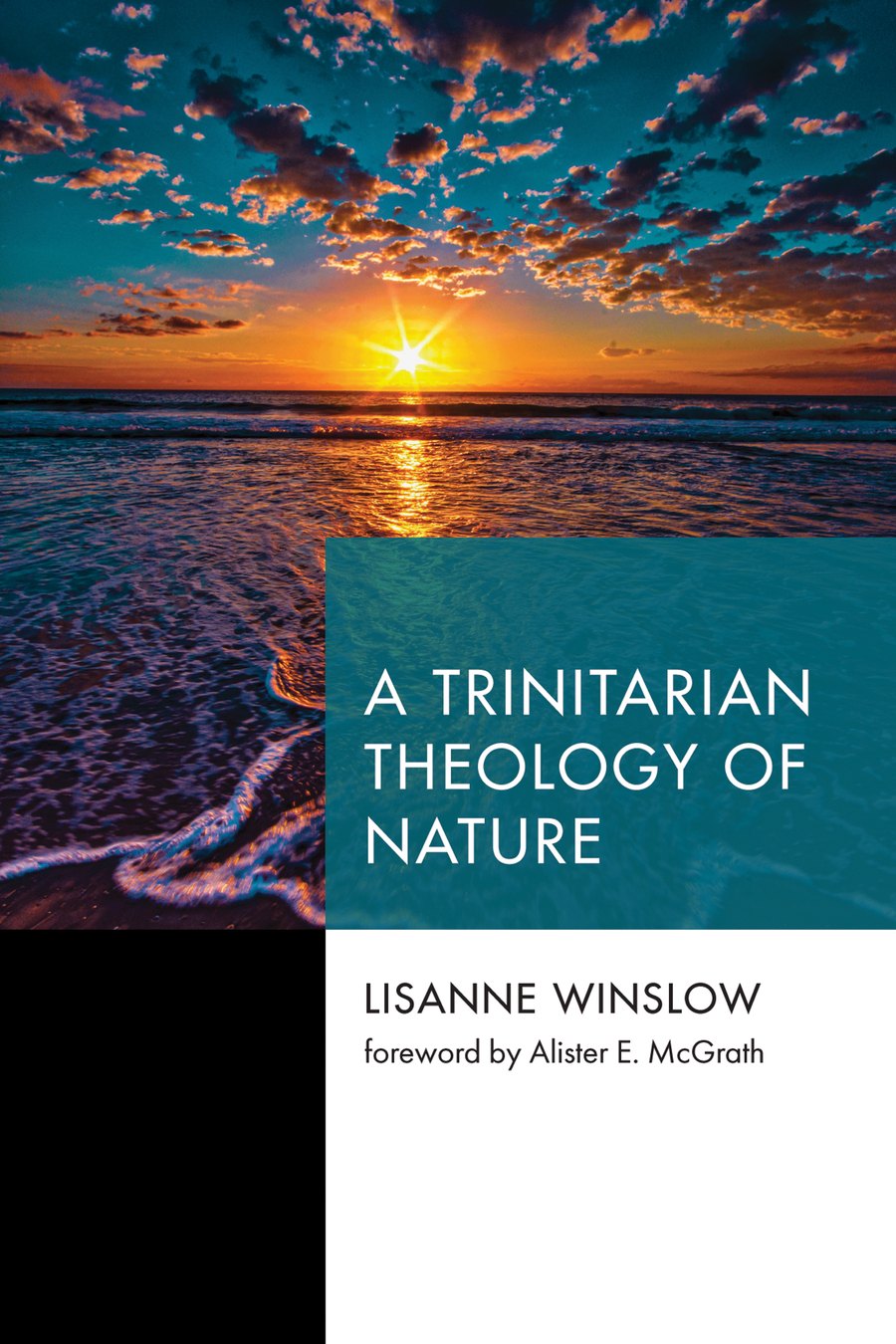 A Trinitarian Theology of Nature by Lisanne Winslow book cover