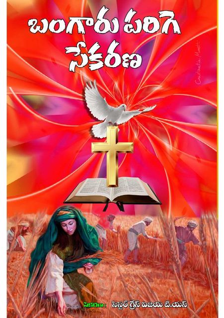 Cover photograph of Bangaaru Parige