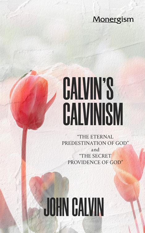 Cover of CalvinsCalvinismCalvin