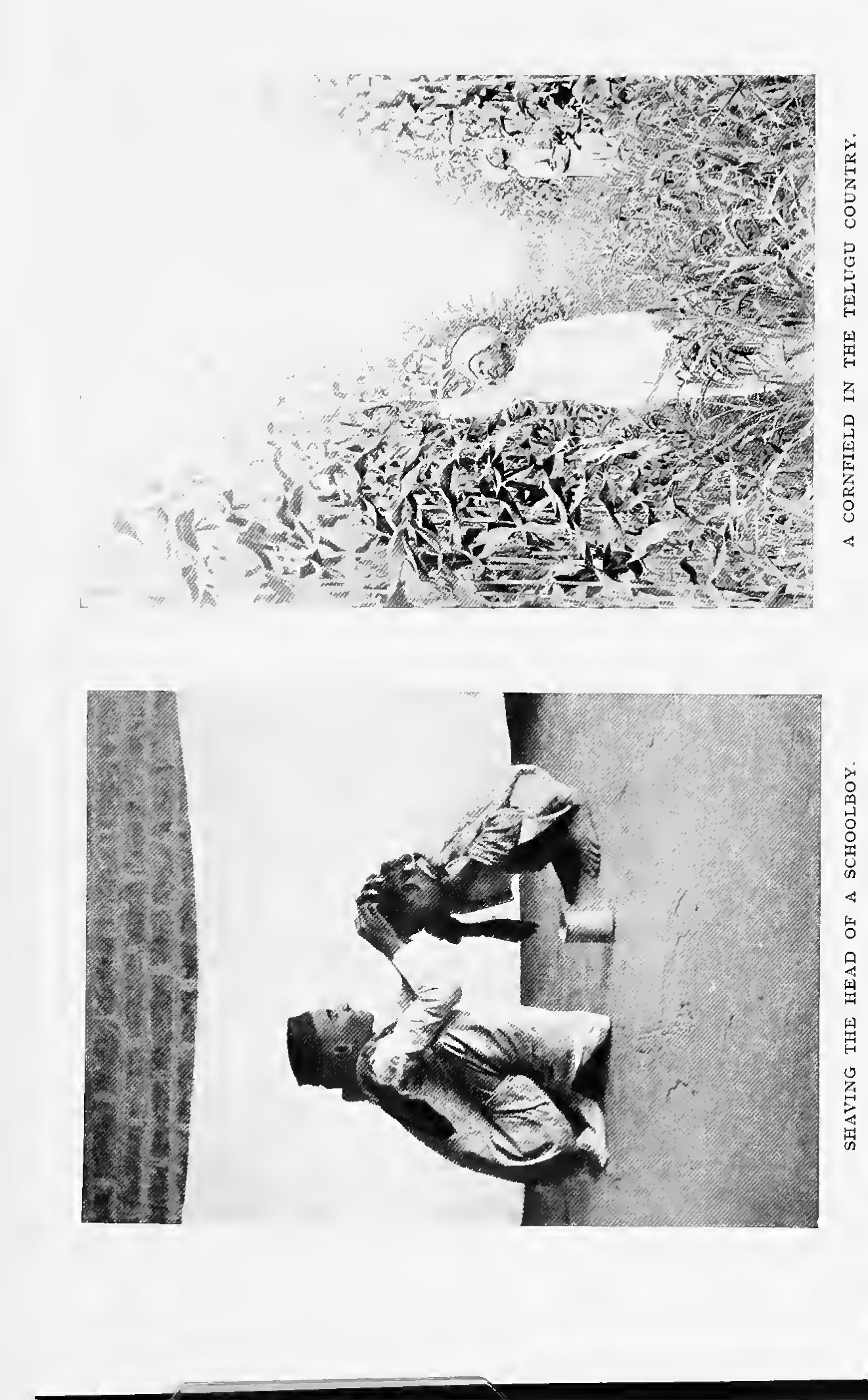 Page 35 of Christian Missions in the Telugu Country (The Country and People)