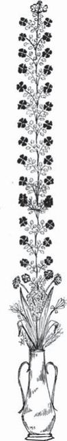 Photograph from page 4 of Dr. Vijaya Sudha
