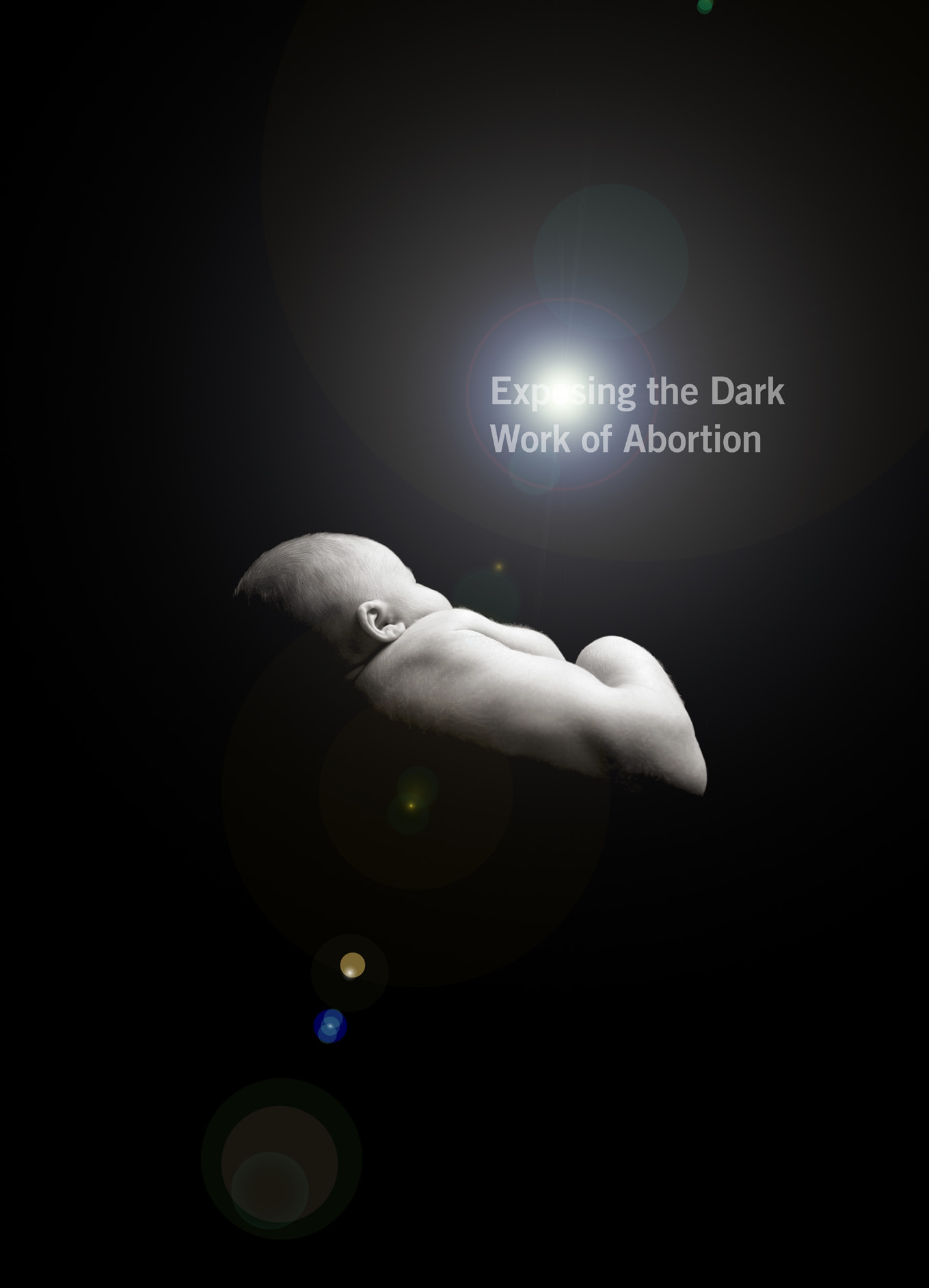 Cover of Exposing the Dark Work of Abortion