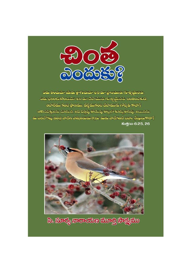 Cover of Chinta_Yenduku