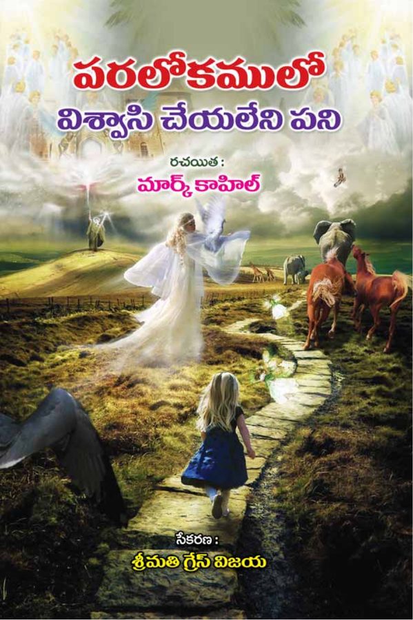 Cover of Paralokamlo Vishvaasi Cheyalleni Pani