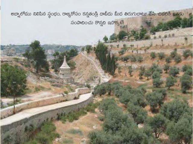 Photograph from page 18 of Jerusalem Trip