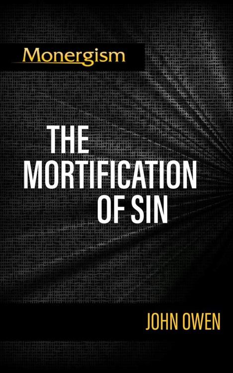 Cover of On the Mortification of Sin in - John Owen