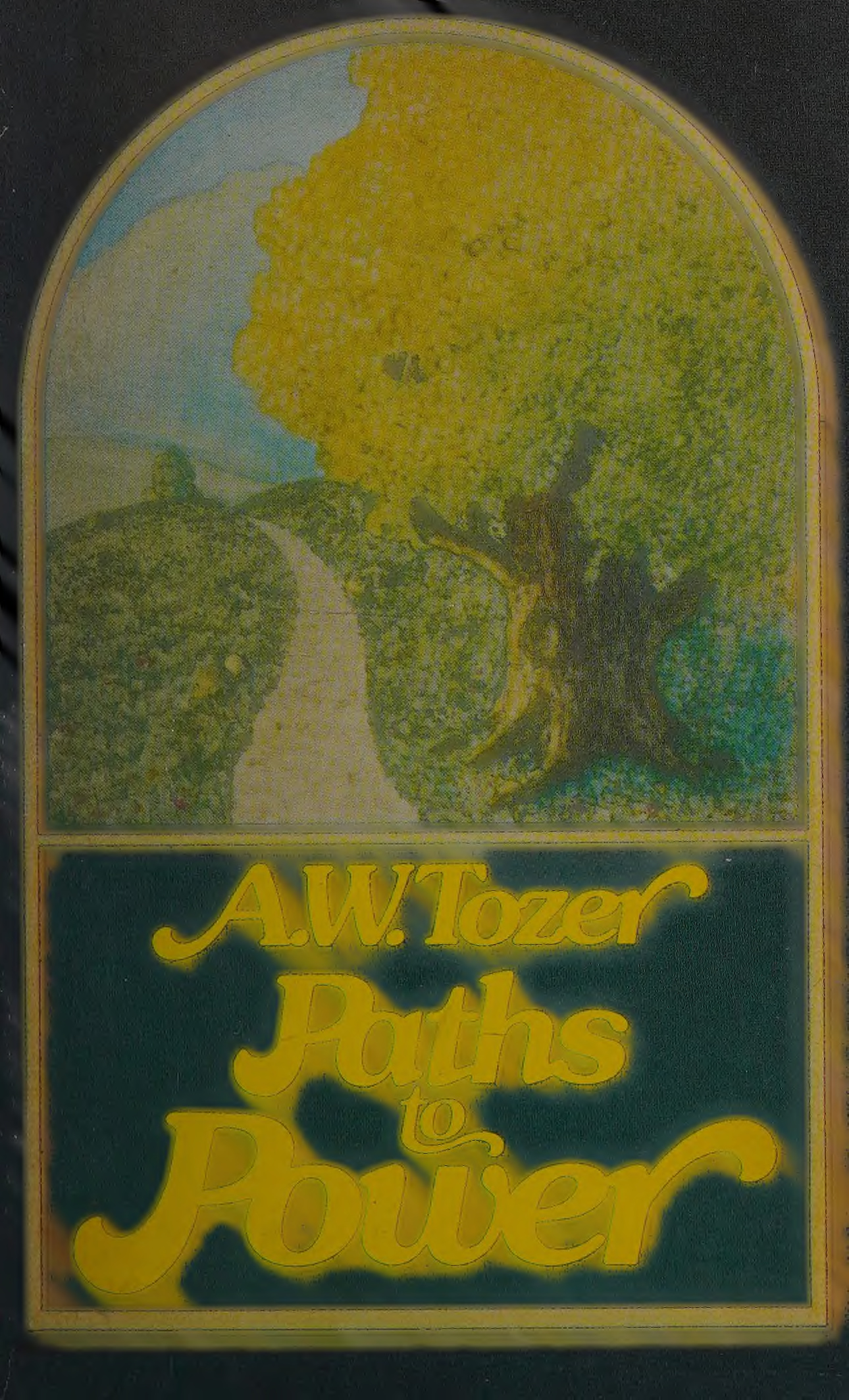 Cover of Paths to Power