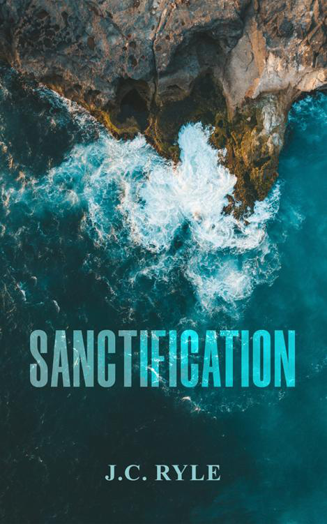 Cover of Sanctification