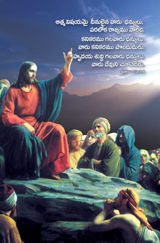Sathya Sakshi(A Witness for Truth) Late Mr. Y. S. Chinna Konda Reddy(Telugu) by Y. S. Chinna Konda Reddy book cover