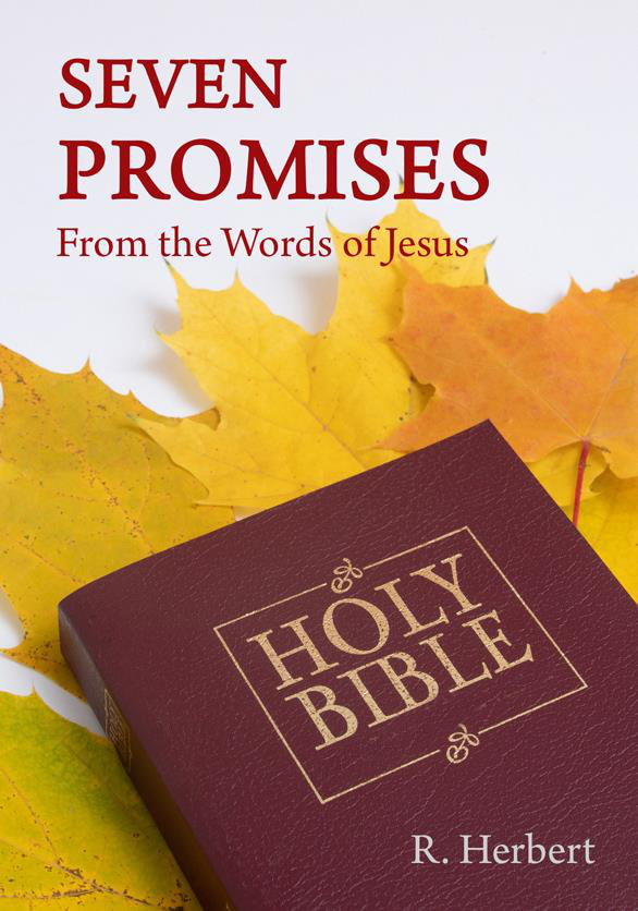 Cover of seven promises