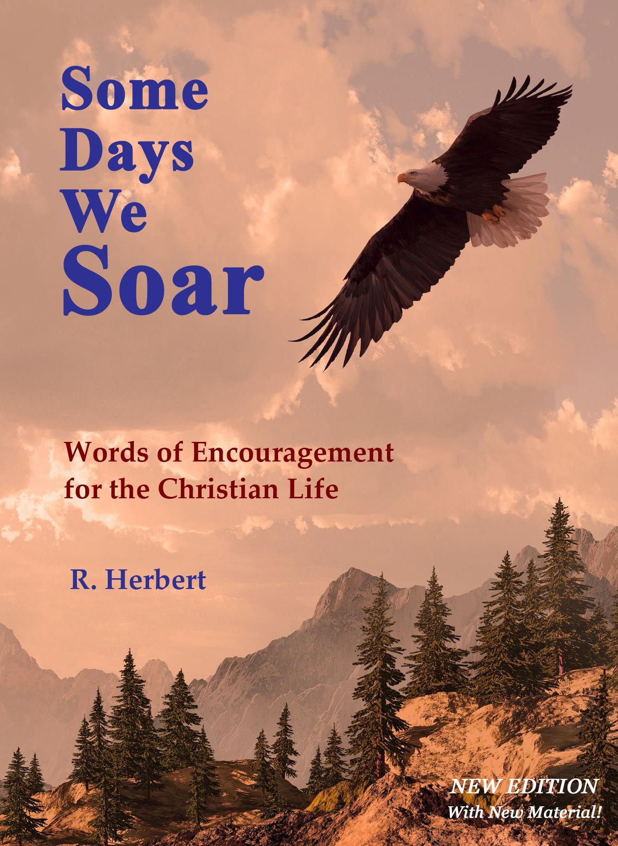 Cover of some days we soar - new edition