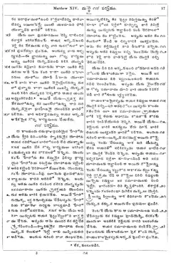 Leaf 19, Matthew XIV