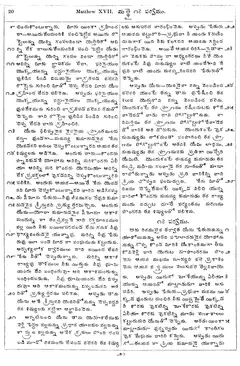 Leaf 22, Matthew XVII