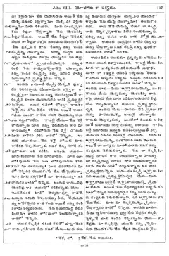 Leaf 119, John VIII