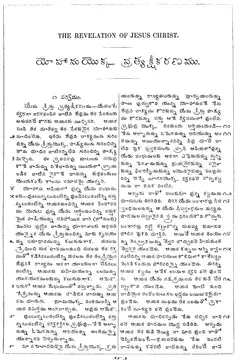 Leaf 294, Revelation I