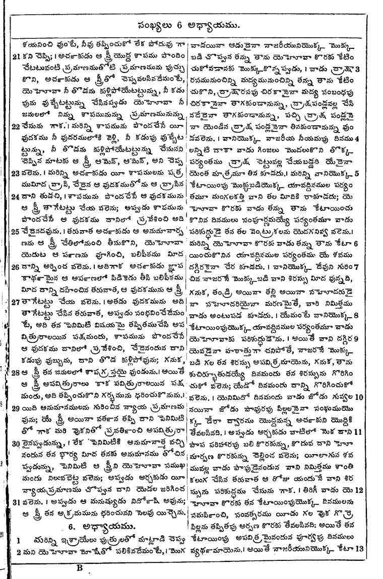 Page 161 of the 1881 Telugu Bible - Numbers