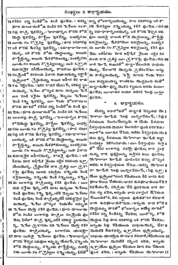 Page 165 of the 1881 Telugu Bible - Numbers