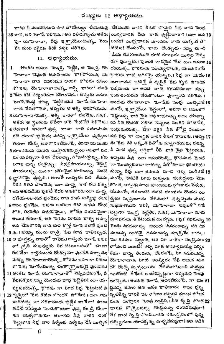Page 169 of the 1881 Telugu Bible - Numbers