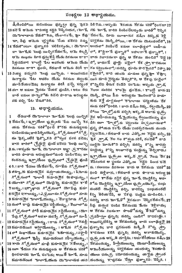 Page 171 of the 1881 Telugu Bible - Numbers