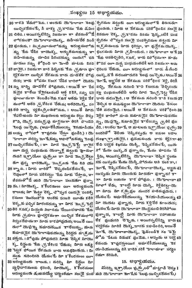 Page 173 of the 1881 Telugu Bible - Numbers