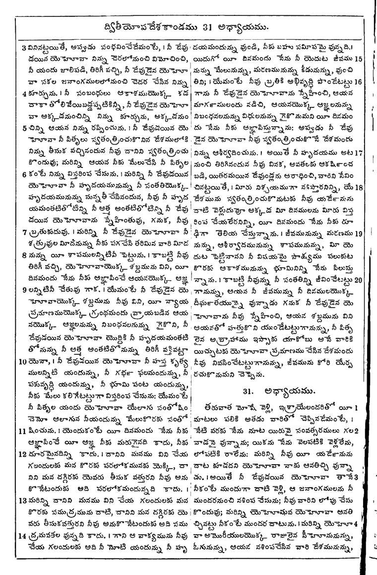 Page 238 of the 1881 Telugu Bible - Deuteronomy