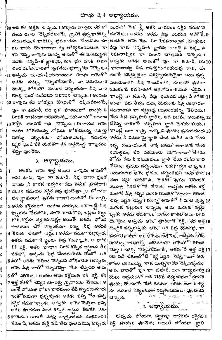 Page 303 of the 1881 Telugu Bible - Ruth