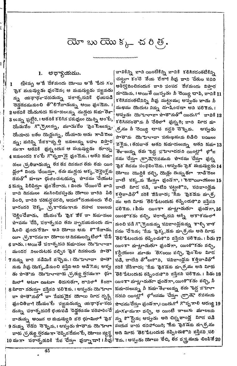 Page 555 of the 1881 Telugu Bible - Job