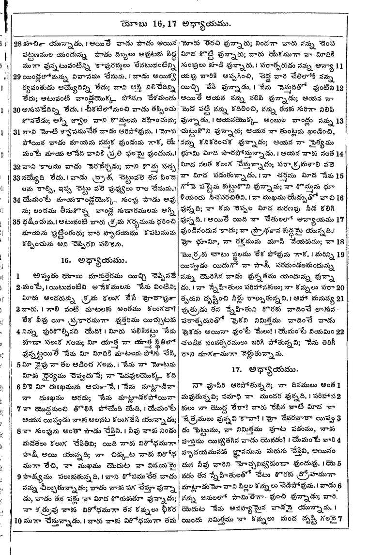 Page 565 of the 1881 Telugu Bible - Job