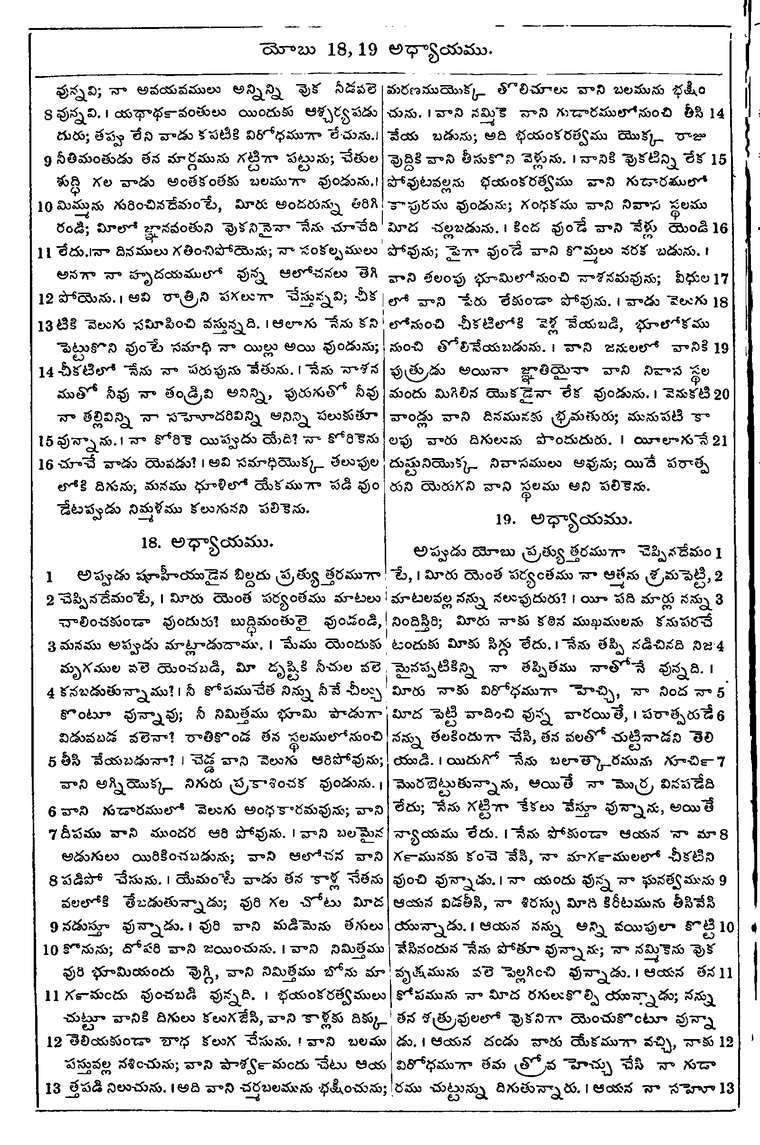Page 566 of the 1881 Telugu Bible - Job