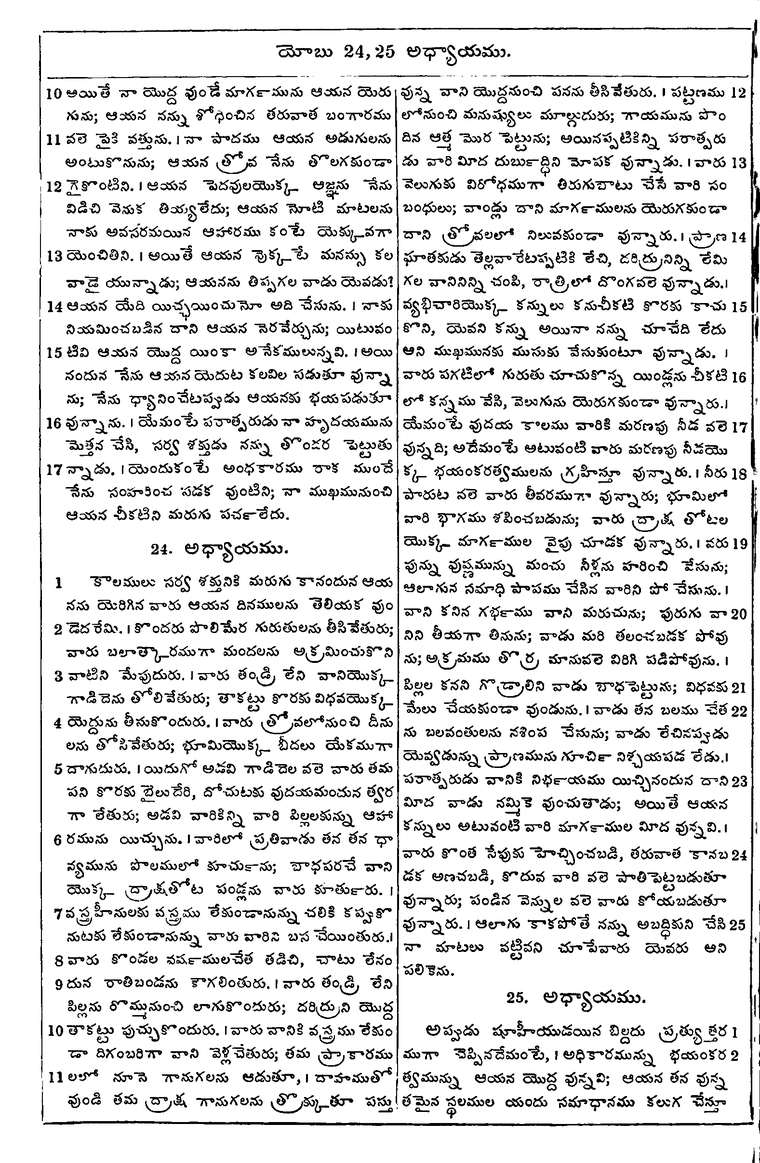 Page 570 of the 1881 Telugu Bible - Job