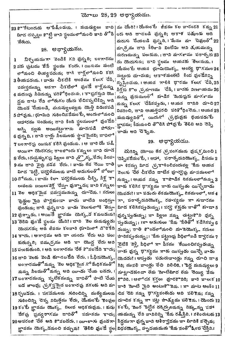 Page 572 of the 1881 Telugu Bible - Job