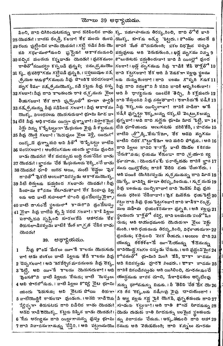 Page 580 of the 1881 Telugu Bible - Job