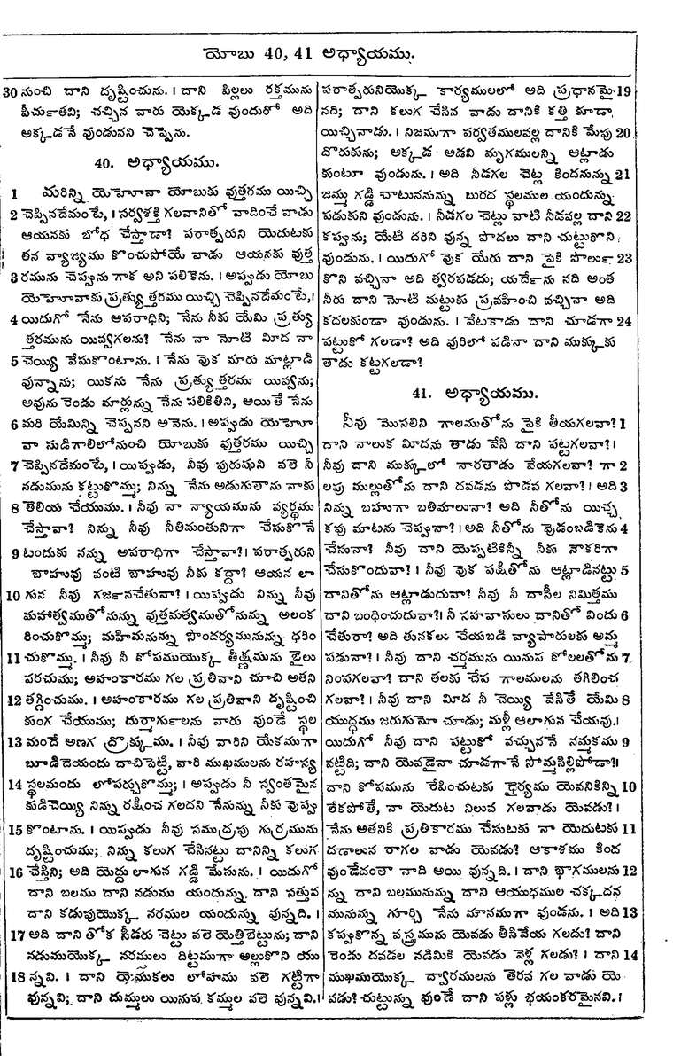Page 581 of the 1881 Telugu Bible - Job