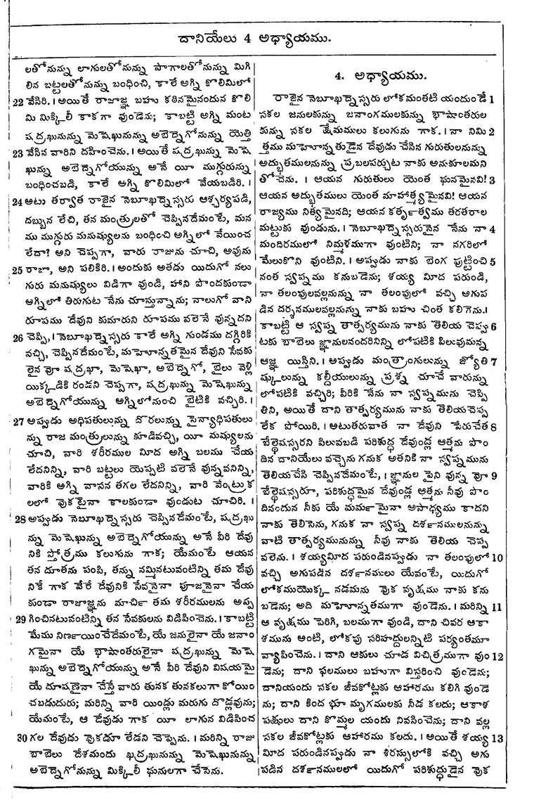 Page 971 of the 1881 Telugu Bible - Daniel