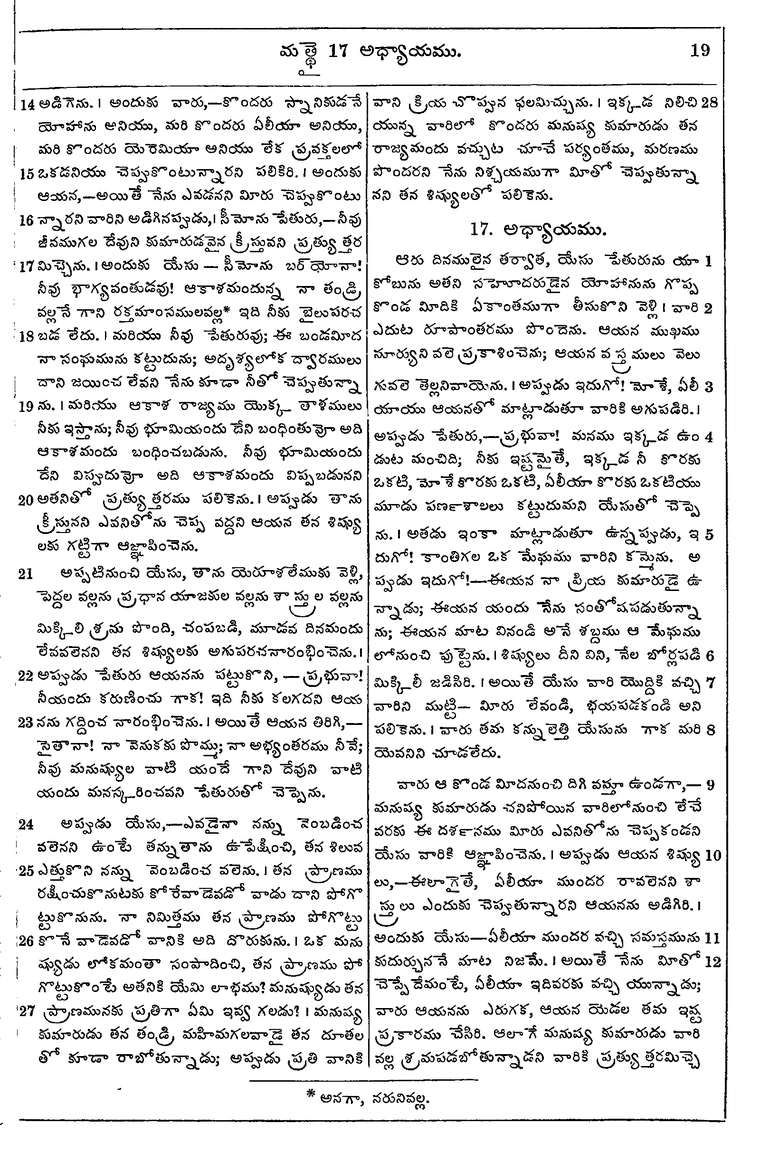 Page 1053 of the 1881 Telugu Bible - Matthew