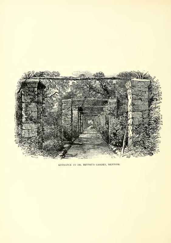 ENTl-LANXE TO DR. BENNET'S GARDEN, MENTONE