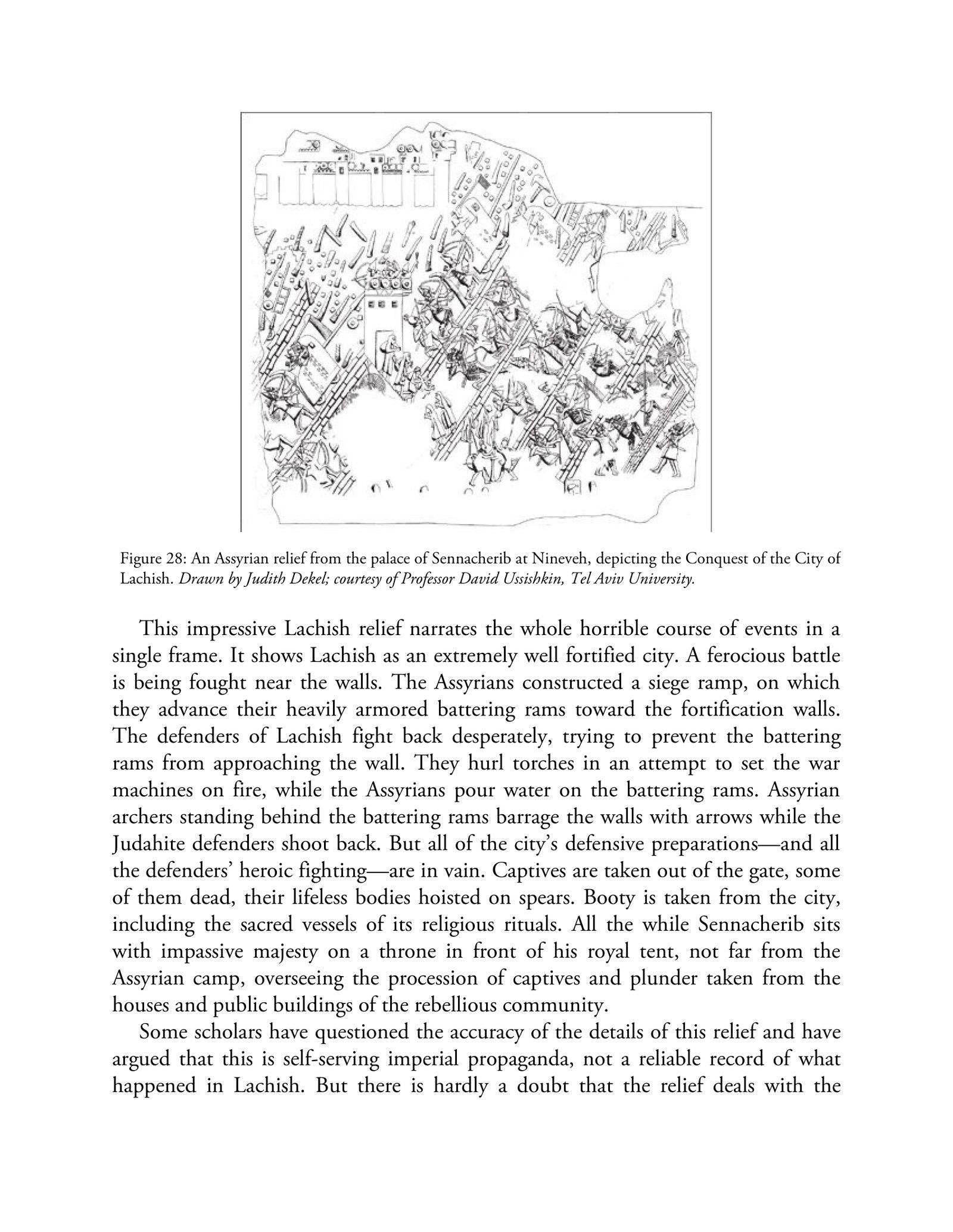 Page 242 — అధ్యాయం 10: యుద్ధం మరియు మనుగడ మధ్య