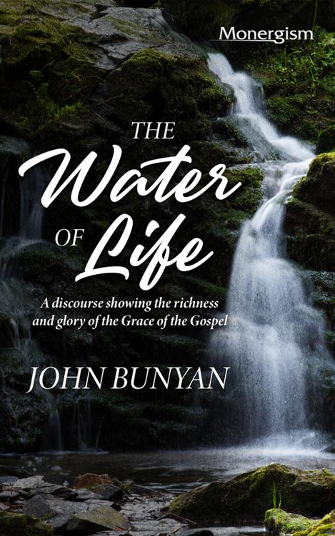 Cover of The Water of Life